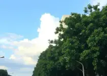 temperaturas em Ribeirão Preto