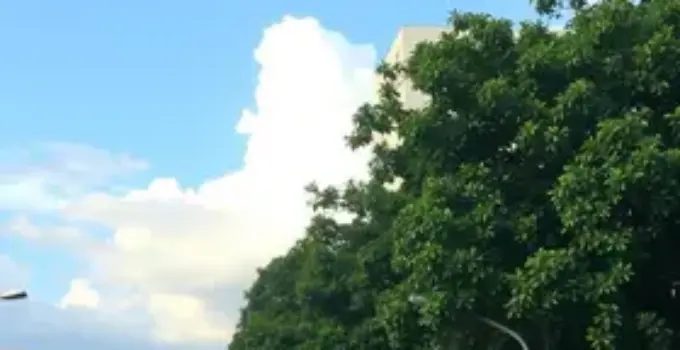 temperaturas em Ribeirão Preto