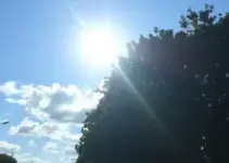 tempo firme Ribeirão Preto