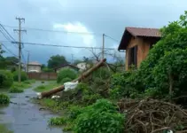 temporal em Ribeirão Preto