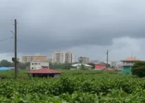 temporal em Ribeirão Preto