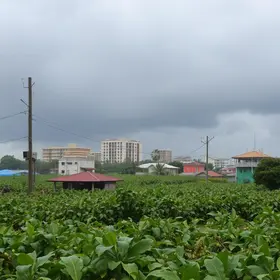 temporal em Ribeirão Preto