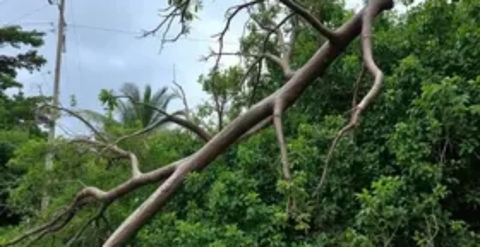 tempestade em Ribeirão Preto