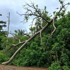 tempestade em Ribeirão Preto