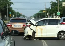 motorista na contramão